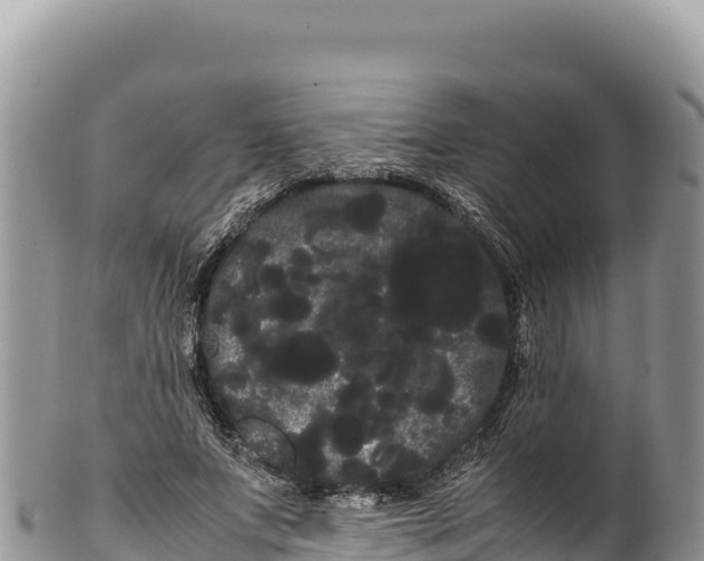 X0000100220687200806201508