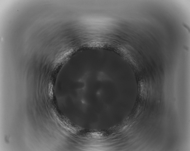 X0000100220692200806201508