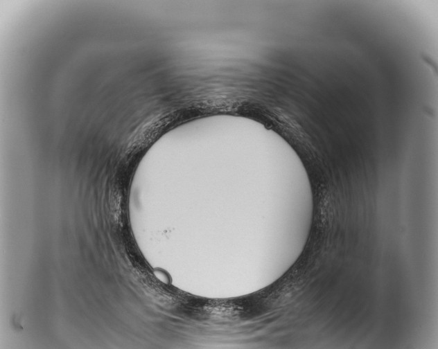 X0000100220693200806201508