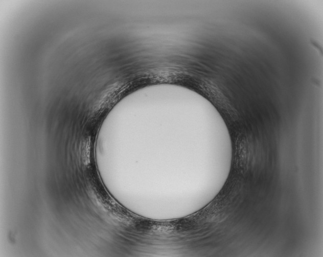 X0000100220694200806201508