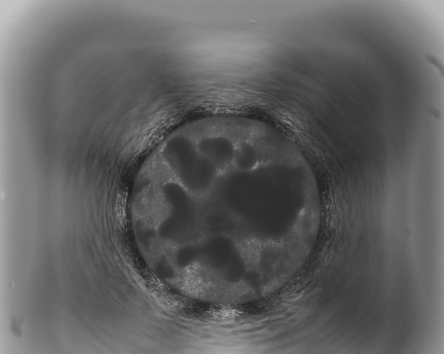 X0000100220695200806201508