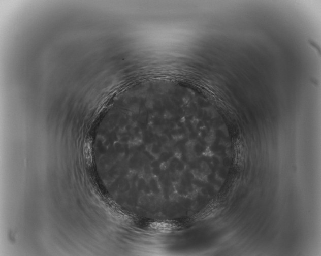 X0000100220699200806201508