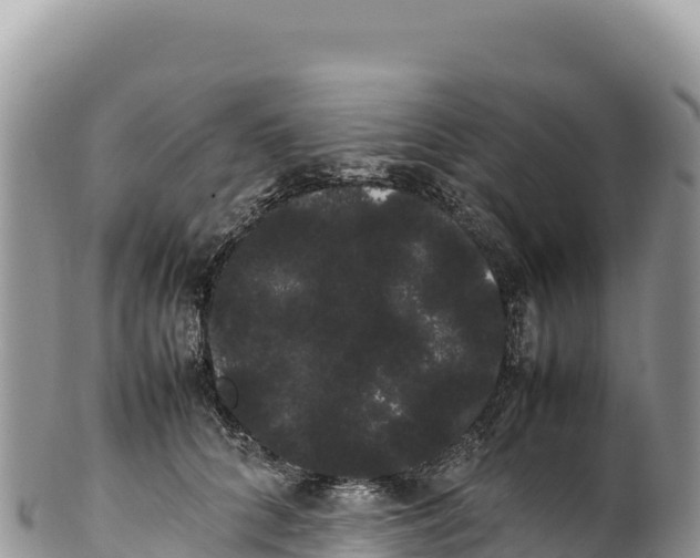 X0000100220704200806201508