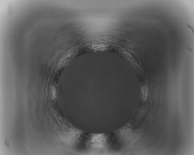 X0000100220705200806201508