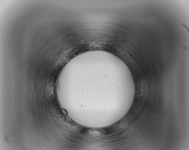 X0000100220706200806201508