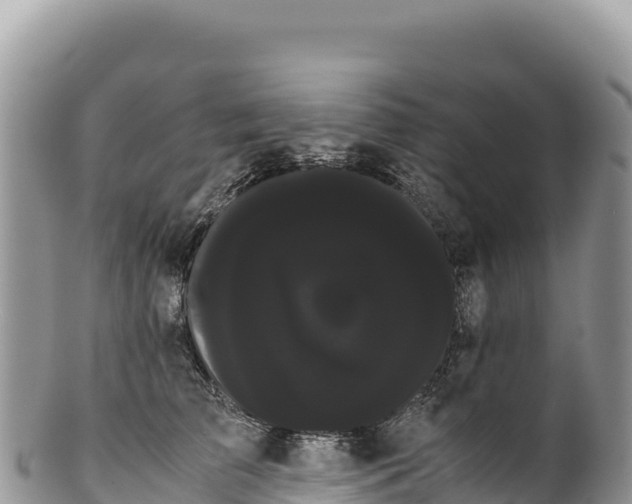 X0000100220709200806201508