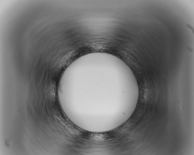 X0000100220710200806201508