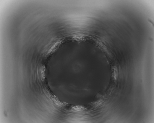 X0000100220712200806201508