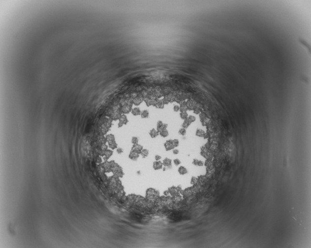 X0000100220715200806201508