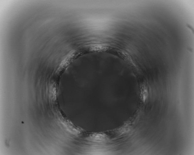 X0000100220716200806201508