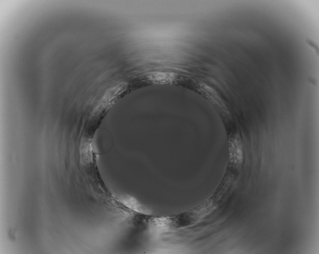 X0000100220717200806201508