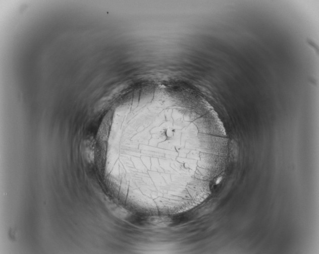 X0000100220719200806201507