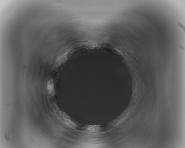 X0000100220720200806201507