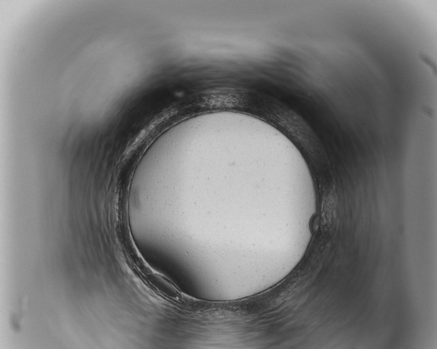 X0000100220722200806201507