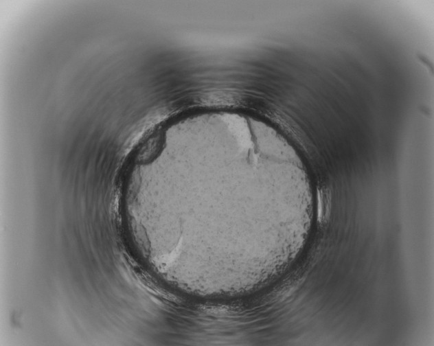 X0000100220723200806201507