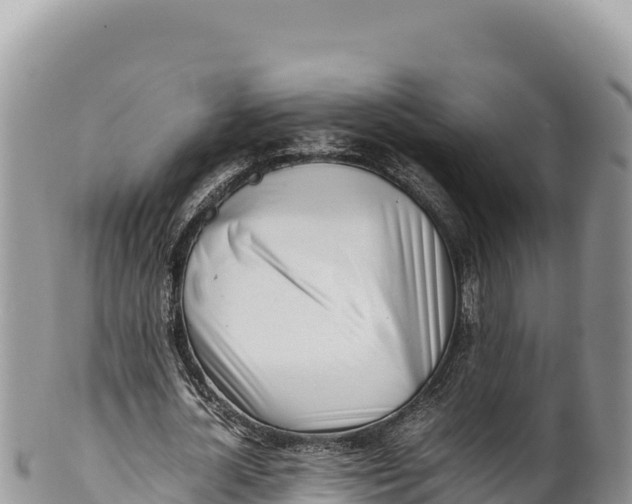 X0000100220724200806201507