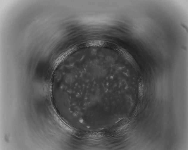 X0000100220725200806201507