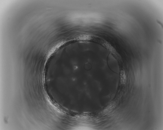 X0000100220726200806201507