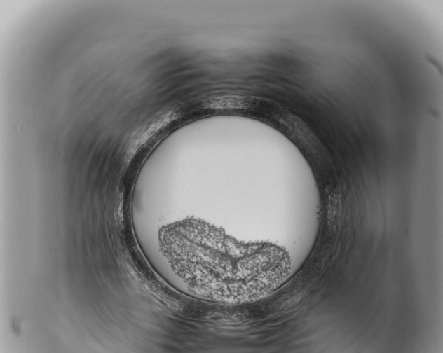 X0000100220727200806201507