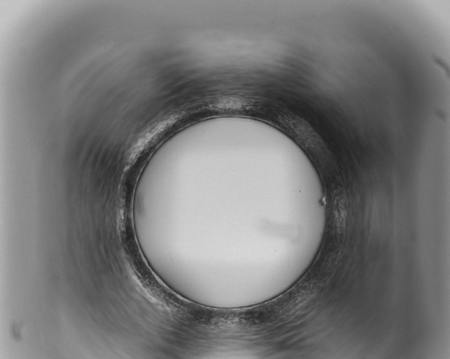 X0000100220728200806201507