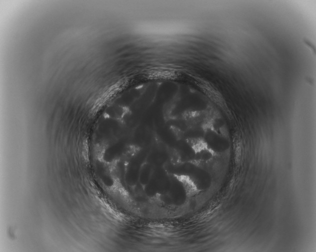 X0000100220729200806201507