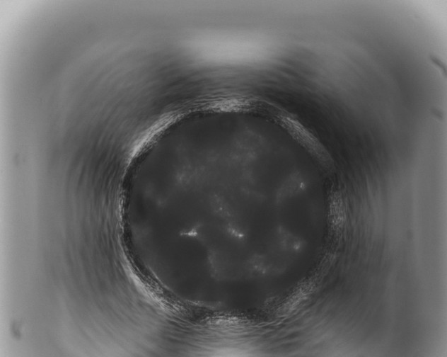 X0000100220730200806201507