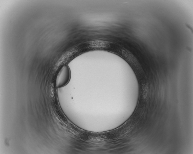 X0000100220731200806201507