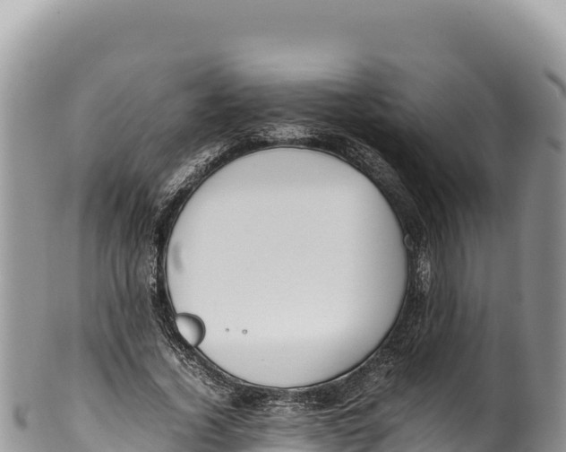 X0000100220732200806201507