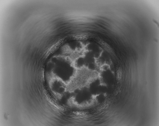 X0000100220733200806201507