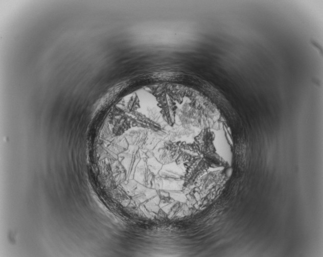 X0000100220734200806201507