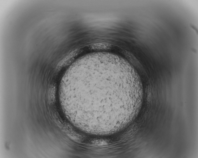 X0000100220735200806201507