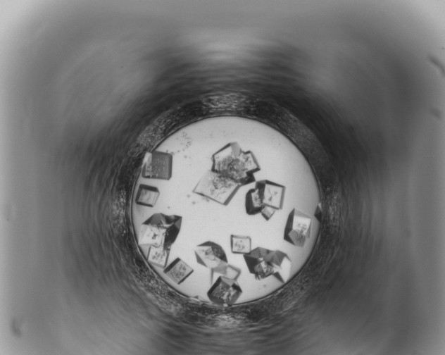 X0000100220737200806201507