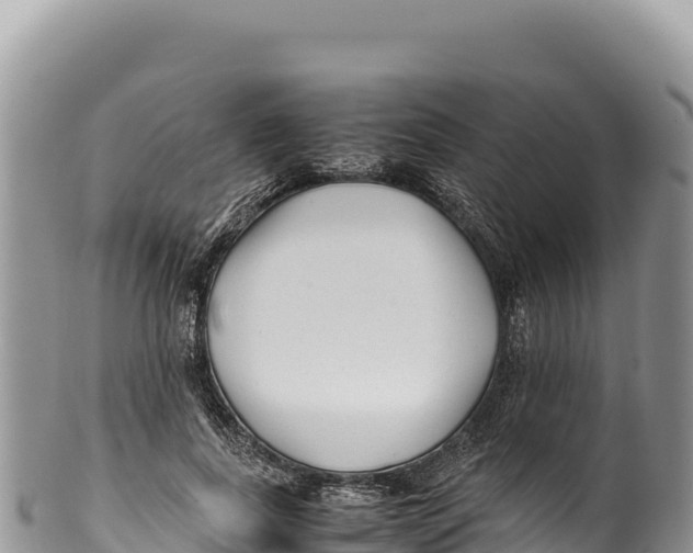 X0000100220739200806201507