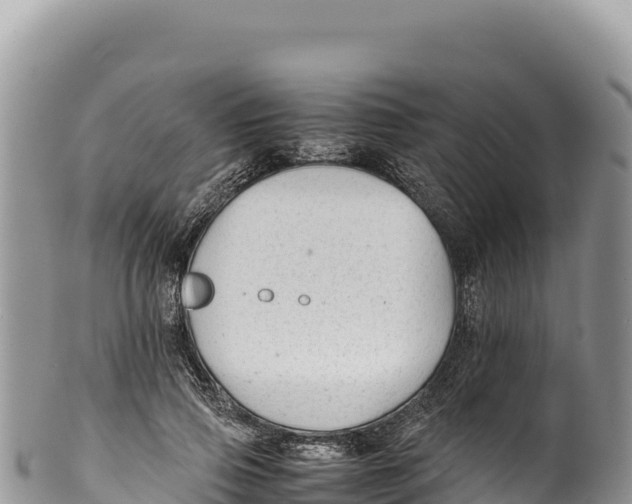 X0000100220741200806201507