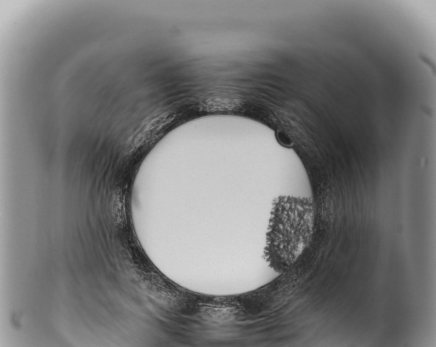 X0000100220743200806201507