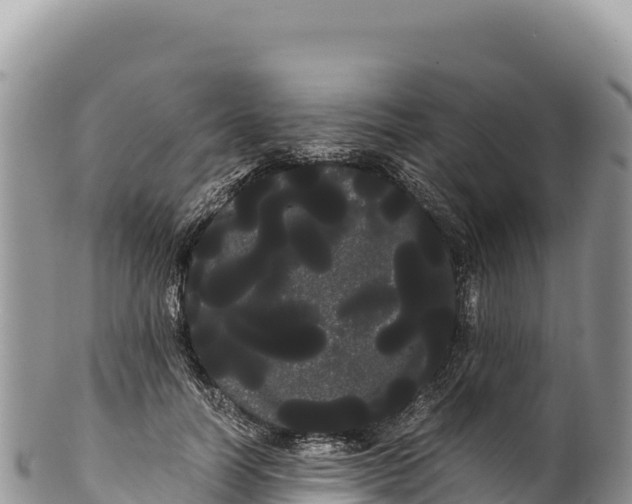 X0000100220746200806201507