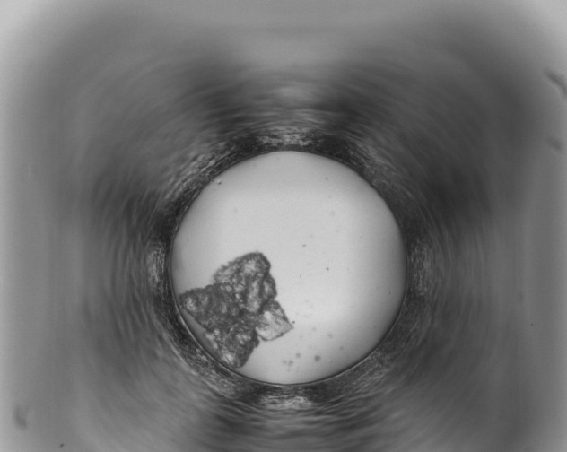 X0000100220747200806201507