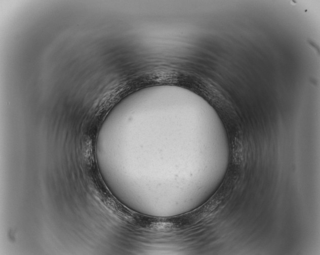 X0000100220748200806201507