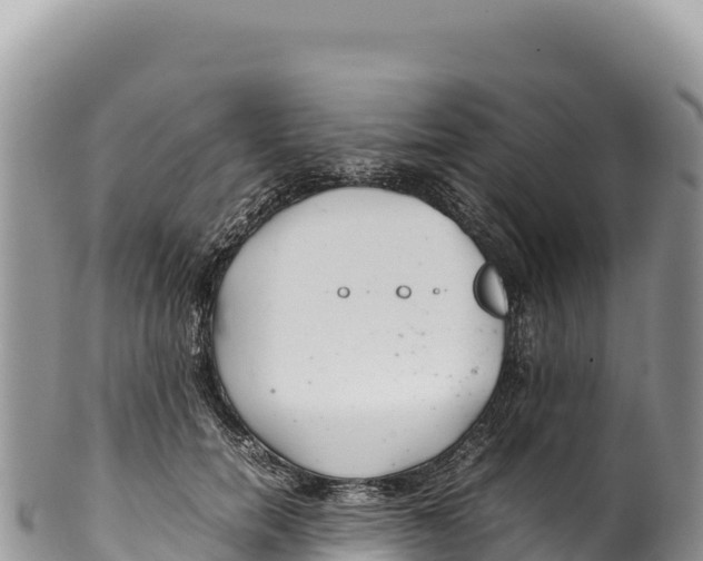 X0000100220750200806201507