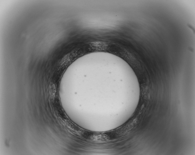 X0000100220752200806201507