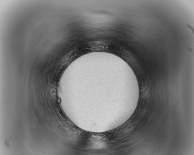 X0000100220753200806201507