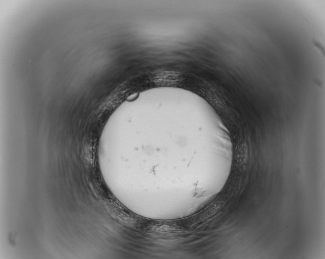 X0000100220755200806201507