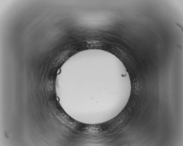 X0000100220756200806201507