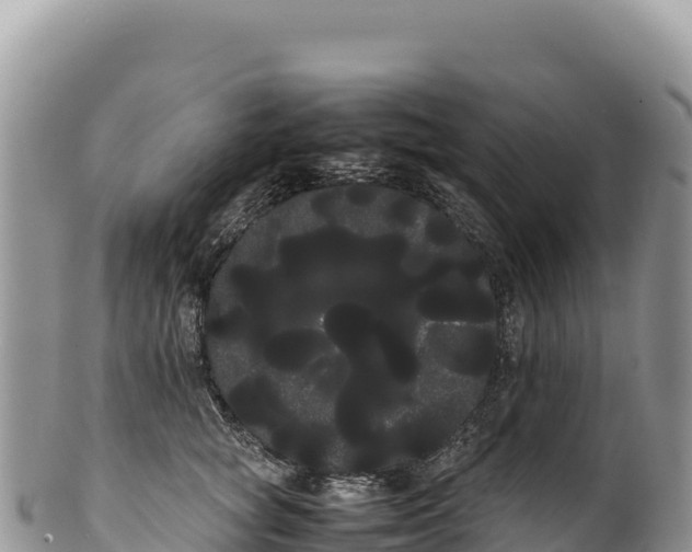 X0000100220757200806201507