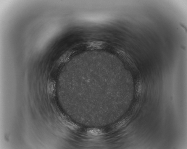 X0000100220759200806201507