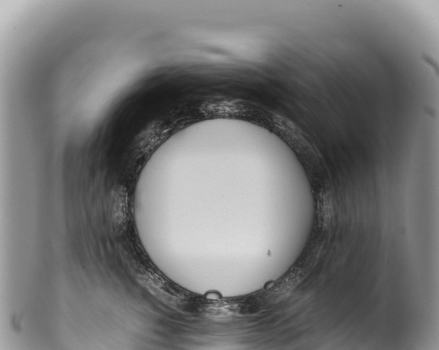 X0000100220760200806201507