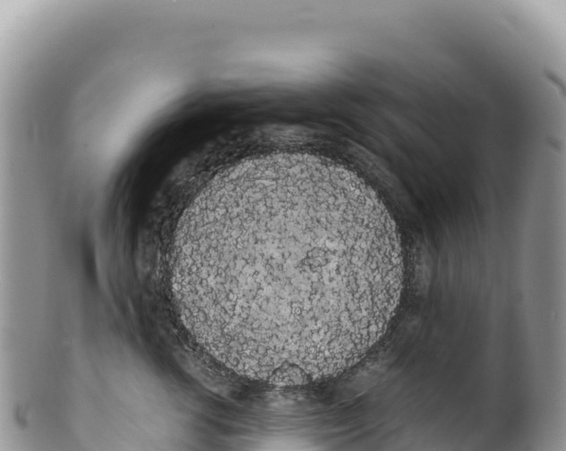 X0000100220762200806201507