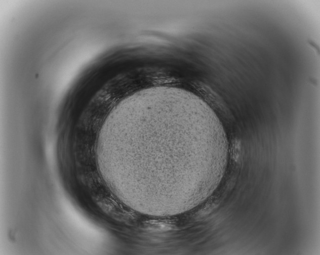 X0000100220763200806201507