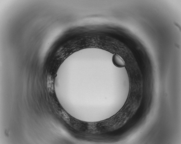 X0000100220766200806201507