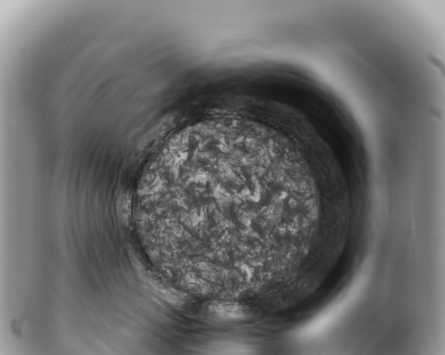 X0000100220767200806201507